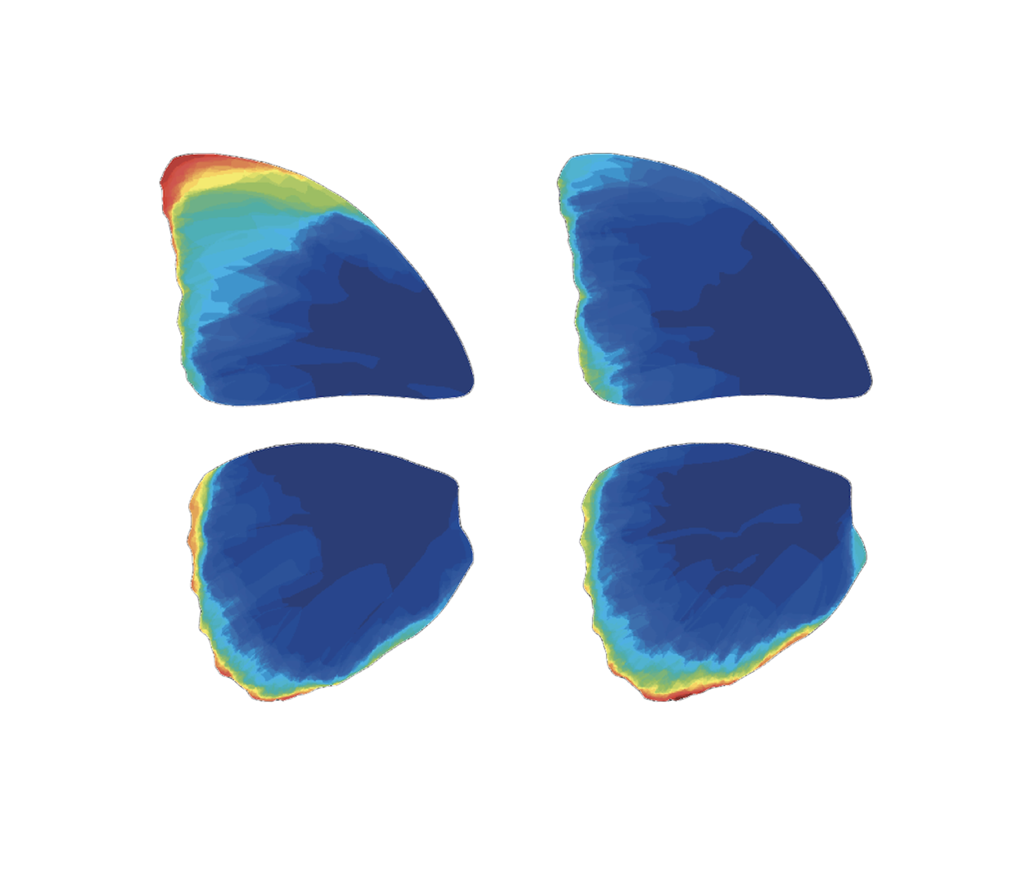 Wing Damage Heatmap Generator
